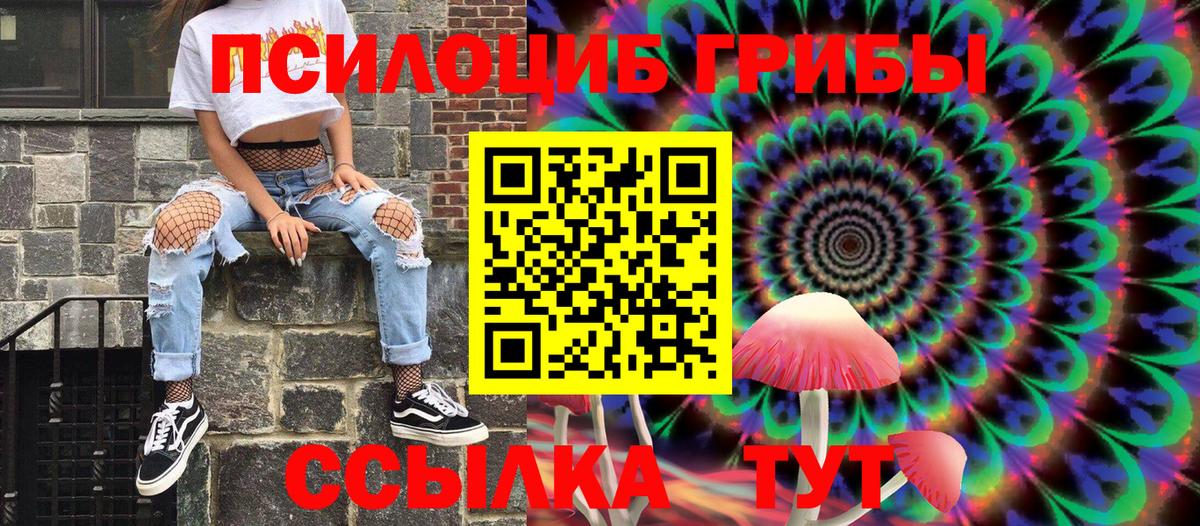 Псилоцибиновые грибы Cubensis Изобильный